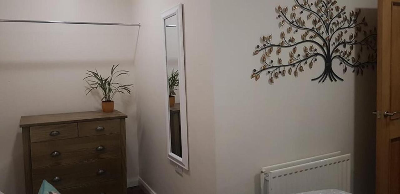 The Musical Ceol Cottage 1-Bedroom - Sleeps Four Ballynahinch Εξωτερικό φωτογραφία
